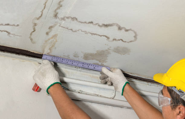 Reliable Structural Drying contractor in Juliustown, NJ by Water Damage Irwin